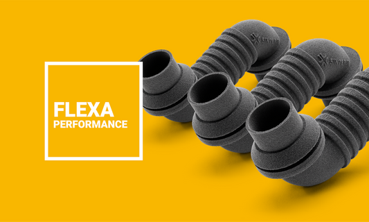 SINTERIT FLEXA Performance - 10 kg